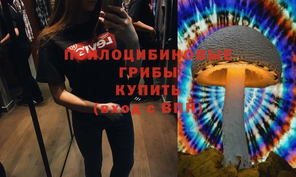 хмурый Алзамай