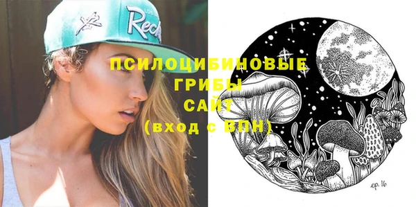альфа пвп Няндома