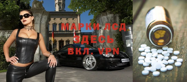 хмурый Алзамай