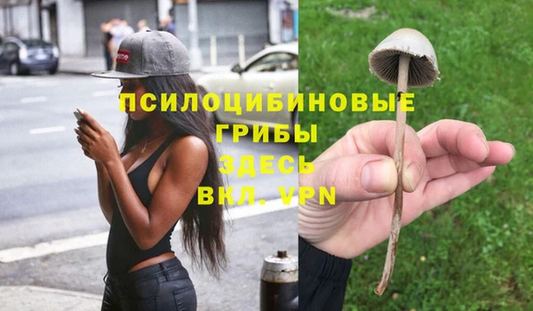 хмурый Алзамай