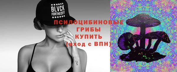 хмурый Алзамай