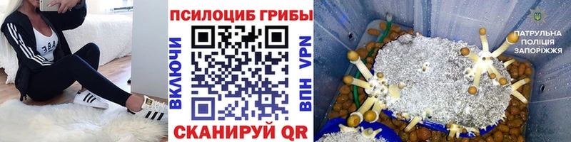МЕГА Нижнеудинск Галлюциногенные грибы Magic Shrooms